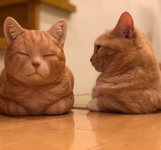 VԁH ザセ̐l`Ɓiyuriyuri4mamaj