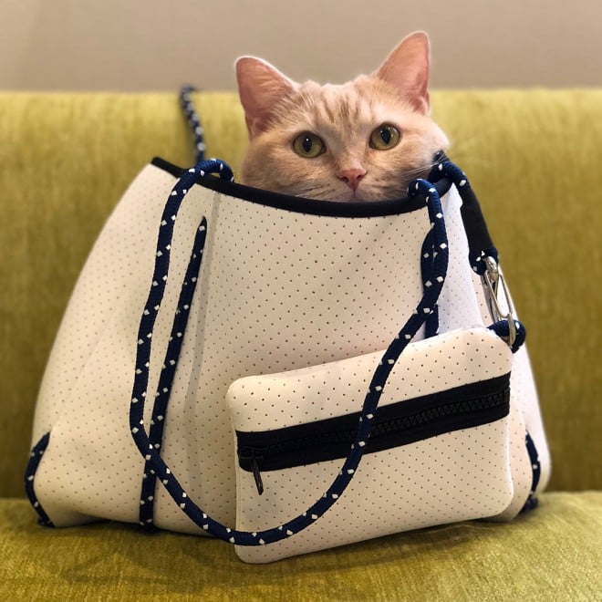 obOɂۂiniyuriyuri4mamaj