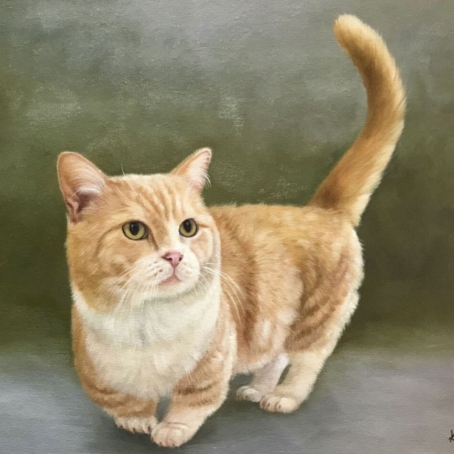 ܂̏ёiyuriyuri4mamaj