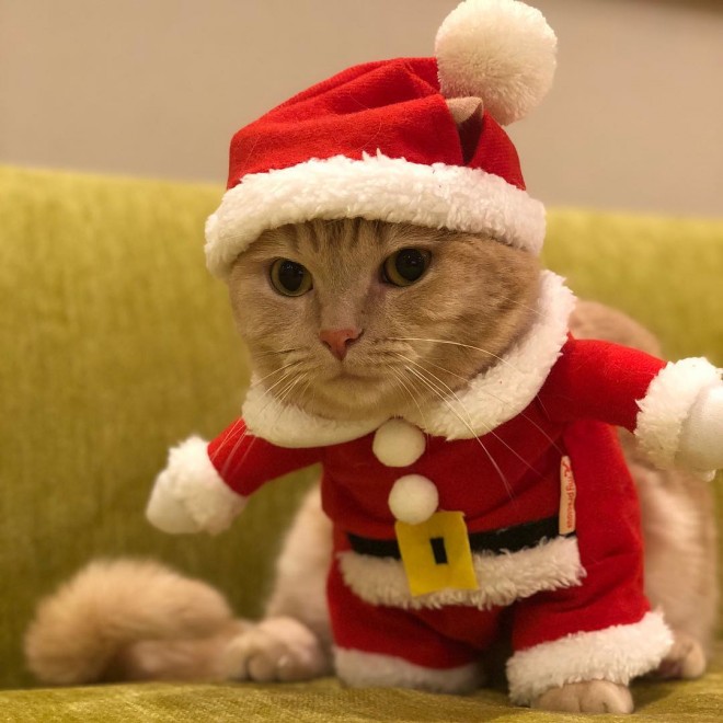 ザT^iyuriyuri4mamaj