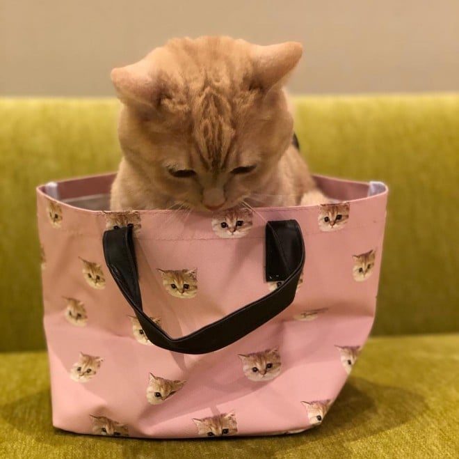 ˂obOɂۂザiyuriyuri4mamaj