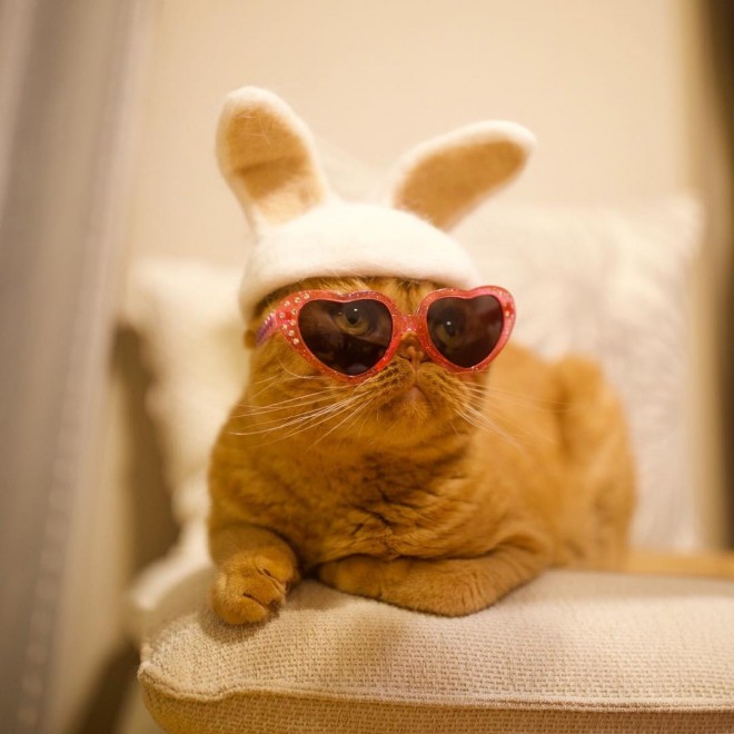 \OɓeꂽETMMȂʁAщ̃hu}Ev̕tluEMvH