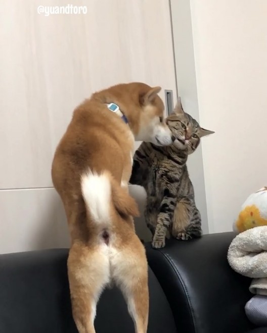 Ƃɂ܂Ăق䂤@#䂤̏dV[Y .