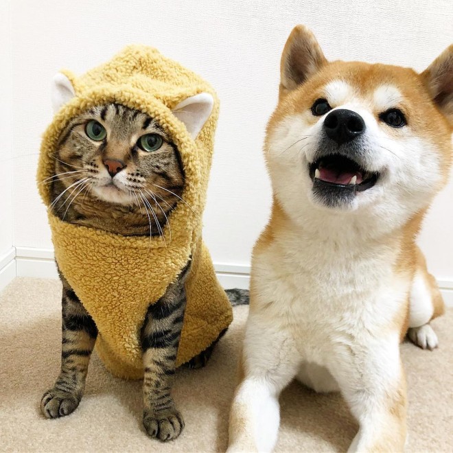 ČRXvI䂤ƃjbRjRȂƂ