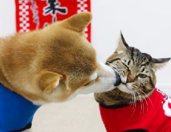 ͂Ҏp킢ă`[@#䂤ƂRXv