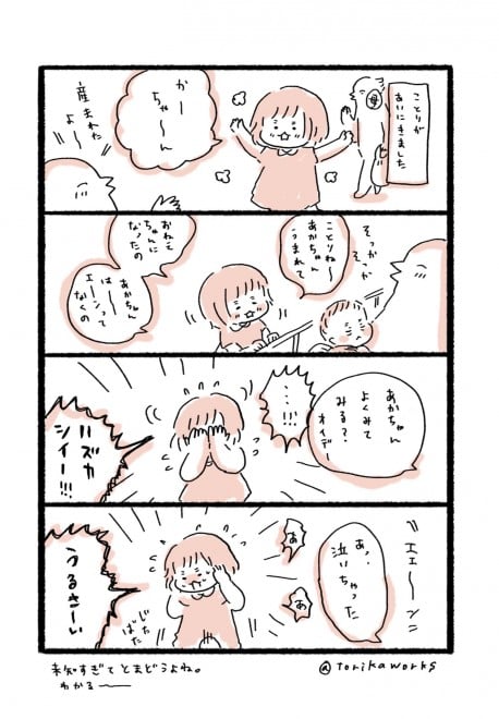 i摜񋟁Fӂ邦Ƃ @torikaworksj