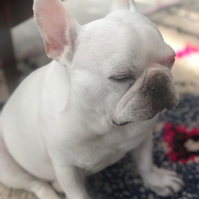 قƂǐQĂ̂ł́cH ׂ񂶁[