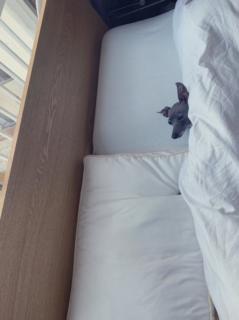 �x�b�h����Ђ������A�Ă�Ă񂿂��