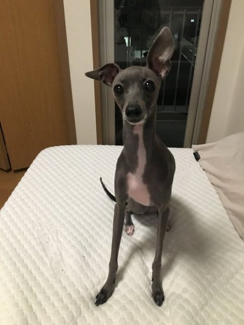 �Ă�Ă񂿂��