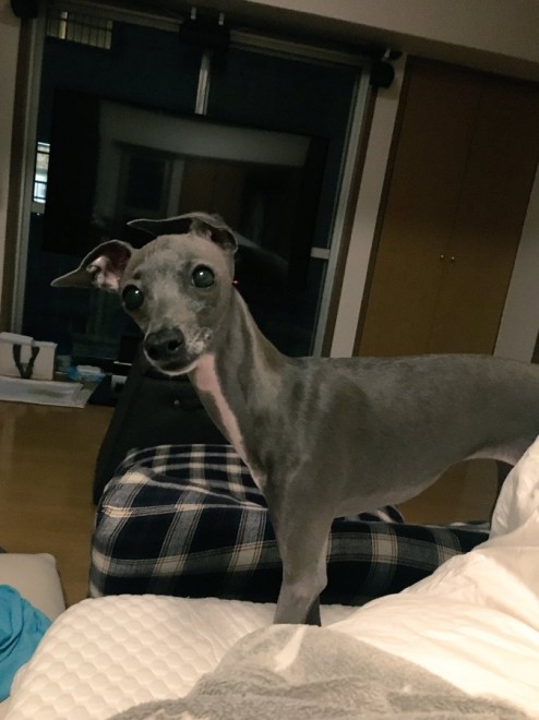 �Ă�Ă񂿂��