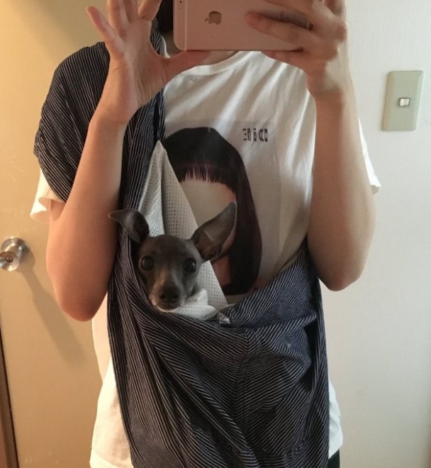 �Ă�Ă񂿂��