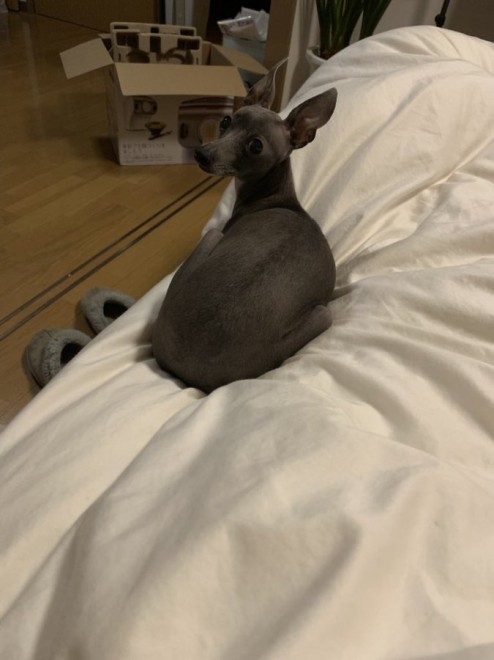 �Ă�Ă񂿂��