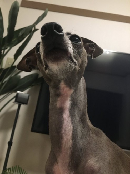 �Ă�Ă񂿂��