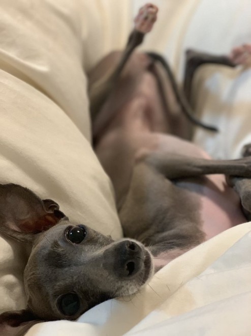 �Ă�Ă񂿂��