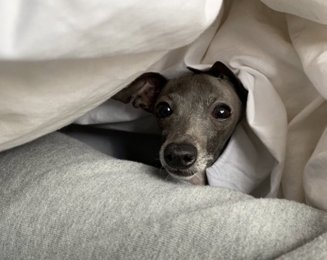 �Ă�Ă񂿂��