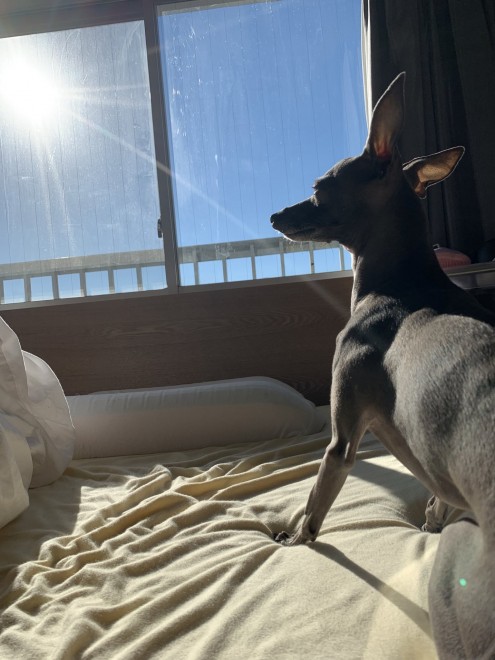 �Ă�Ă񂿂��