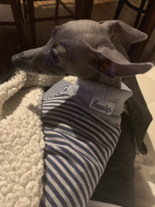 �Ă�Ă񂿂��