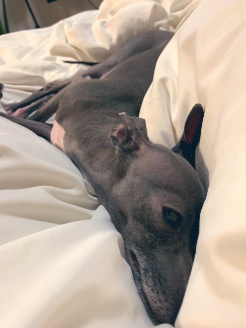 �Ă�Ă񂿂��