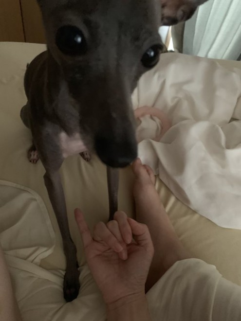 �Ă�Ă񂿂��