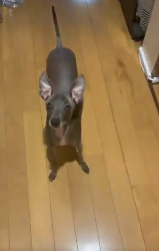 �Ă�Ă񂿂��