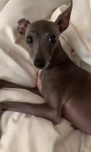 �Ă�Ă񂿂��