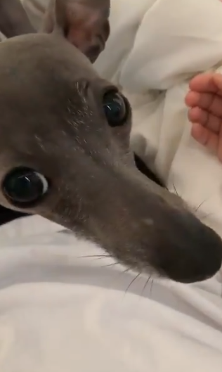 �Ă�Ă񂿂��