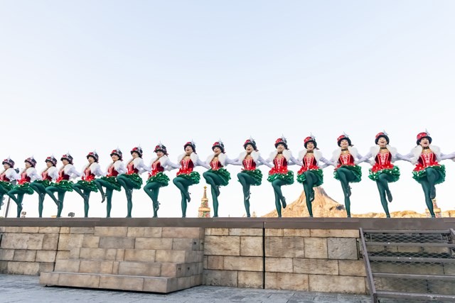 TDS�u�C�b�c�E�N���X�}�X�^�C���I�v2019 �iC�jDisney