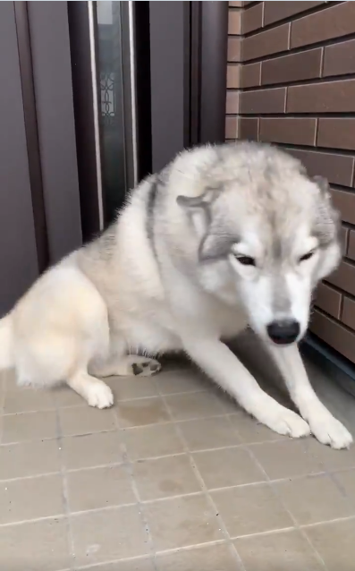 u҂Ăc傳ł́cHHvulނ悤ȂԂ