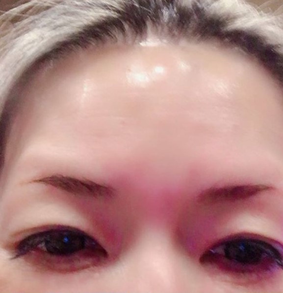 łւ̃{gbNXCX^ŌJBuCX^Oi@bull__nakanoj