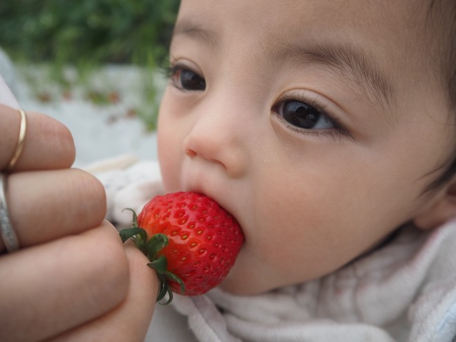 �ѕz�ɂ���܂�̂���D�����Ƃ������イ�Ƃ���