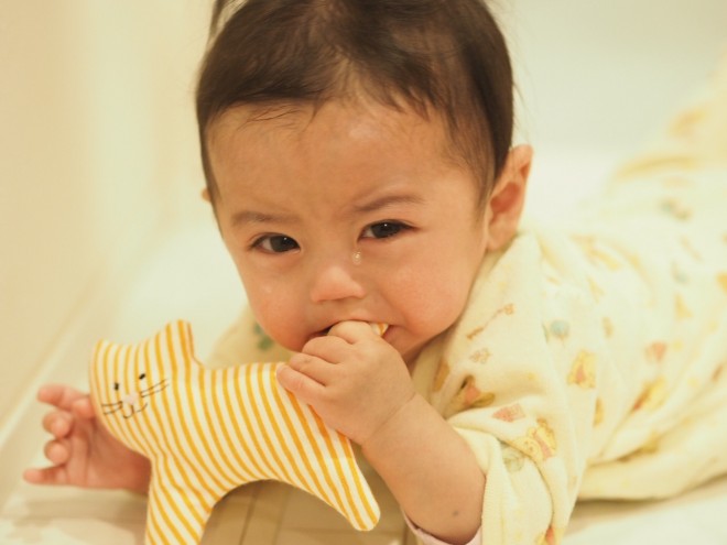 �ѕz�ɂ���܂�̂���D�����Ƃ������イ�Ƃ���