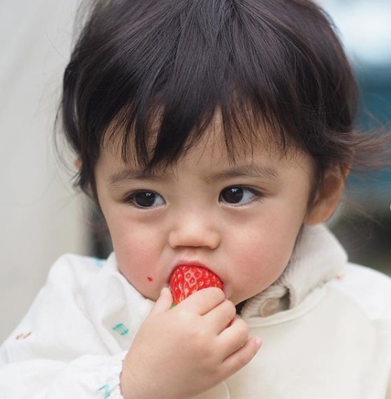 �ѕz�ɂ���܂�̂���D�����Ƃ������イ�Ƃ���