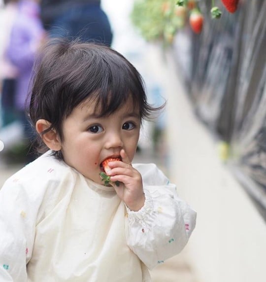 �ѕz�ɂ���܂�̂���D�����Ƃ������イ�Ƃ���