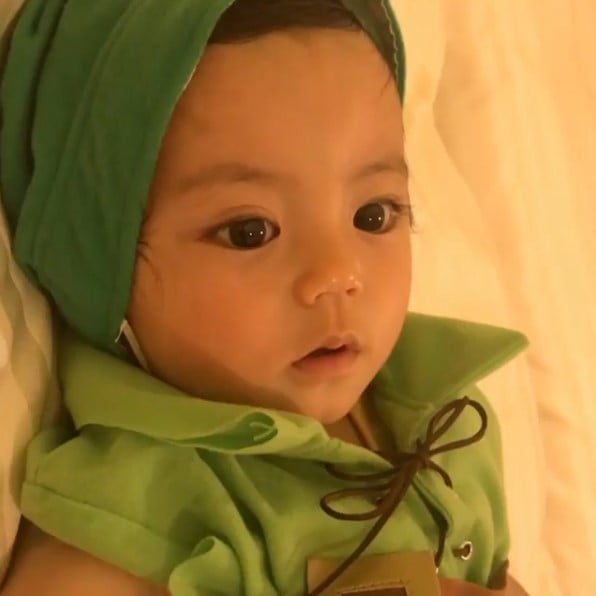 �ѕz�ɂ���܂�̂���D�����Ƃ������イ�Ƃ���