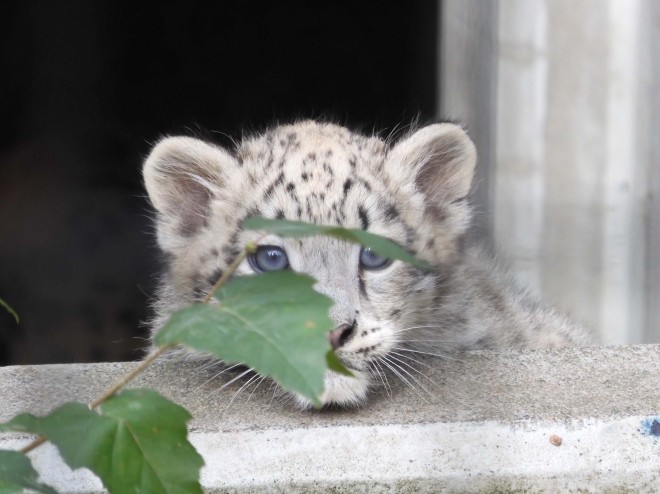 2019�N9��29���B�Q������Ђ���������o���B