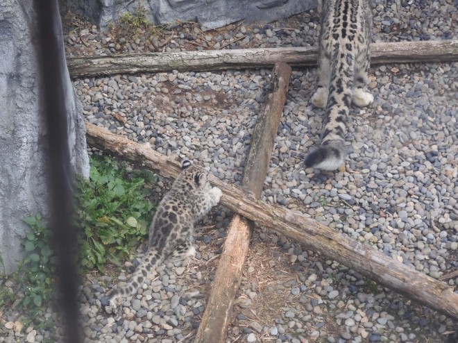 2019�N9��29���B���ꂳ��̂����ۂ�ǂ�����������B