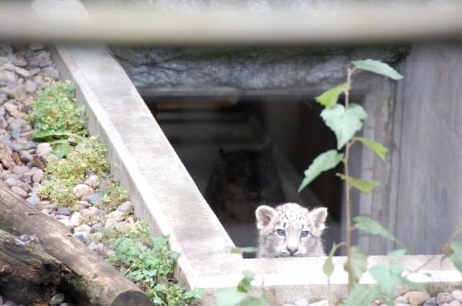 2019�N10��5���B�w��̈Â���ɂ́A���ꂳ��E�W�[�}���B