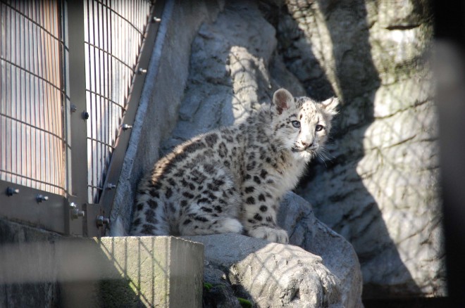 2019�N10��21���B��̏�ɂ��o���悤�ɁB