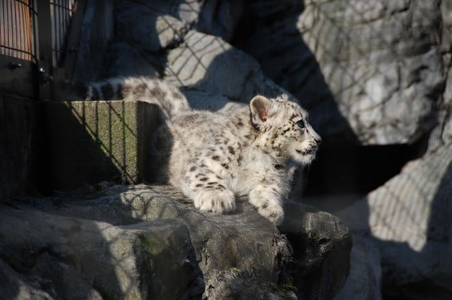 2019�N10��21���B�s����Ȋ�̏�ł��o�����X���o�̓o�b�`���I