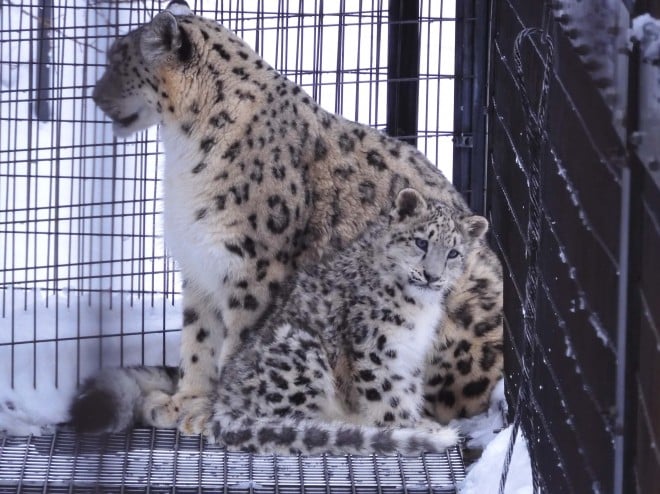 2019�N11��18���B���ꂳ��ƈꏏ�ň��S�����l�q�B