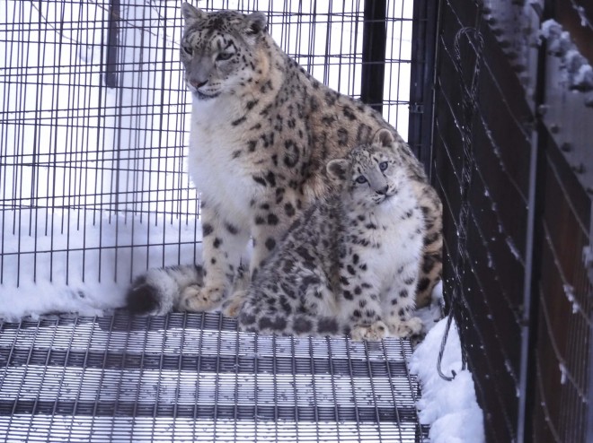 2019�N11��18���B������������ăJ�����ڐ���