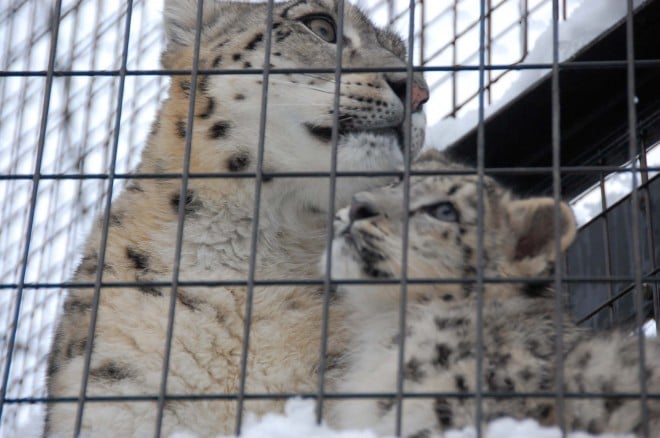 2019�N11��18���B������̃A���O���Ńp�V�����B���ꂳ����t�T�t�T�B