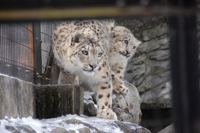 2019�N12��21���B�쐶��������I �e�q�̙z�X�����V���b�g�B