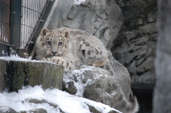 2019�N12��23���B��̏�ɂ���܂�B�k�C���̐�i�F���������B