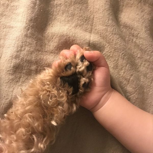 摜񋟁F䂸i@mie.yzcj