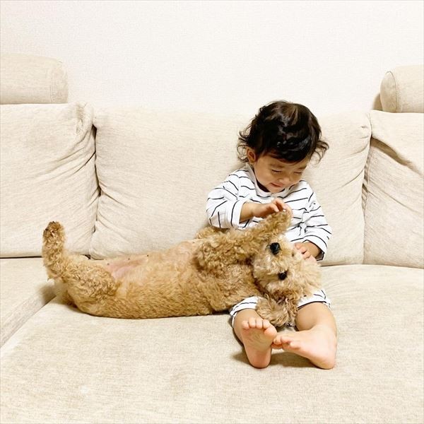 摜񋟁F䂸i@mie.yzcj