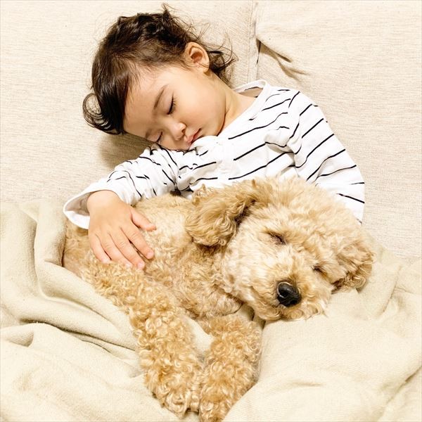 摜񋟁F䂸i@mie.yzcj