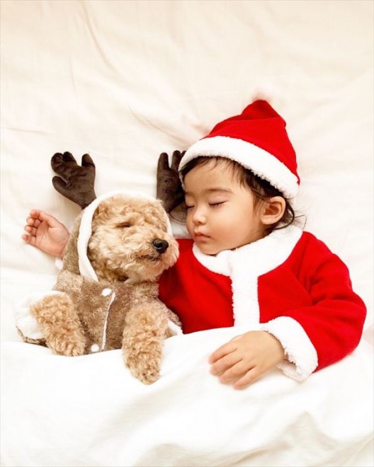 摜񋟁F䂸i@mie.yzcj