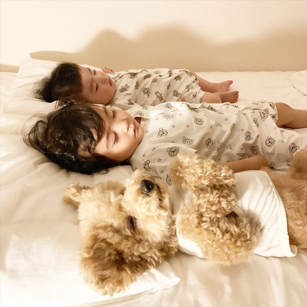 摜񋟁F䂸i@mie.yzcj