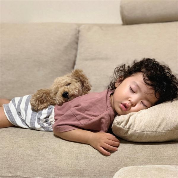 摜񋟁F䂸i@mie.yzcj